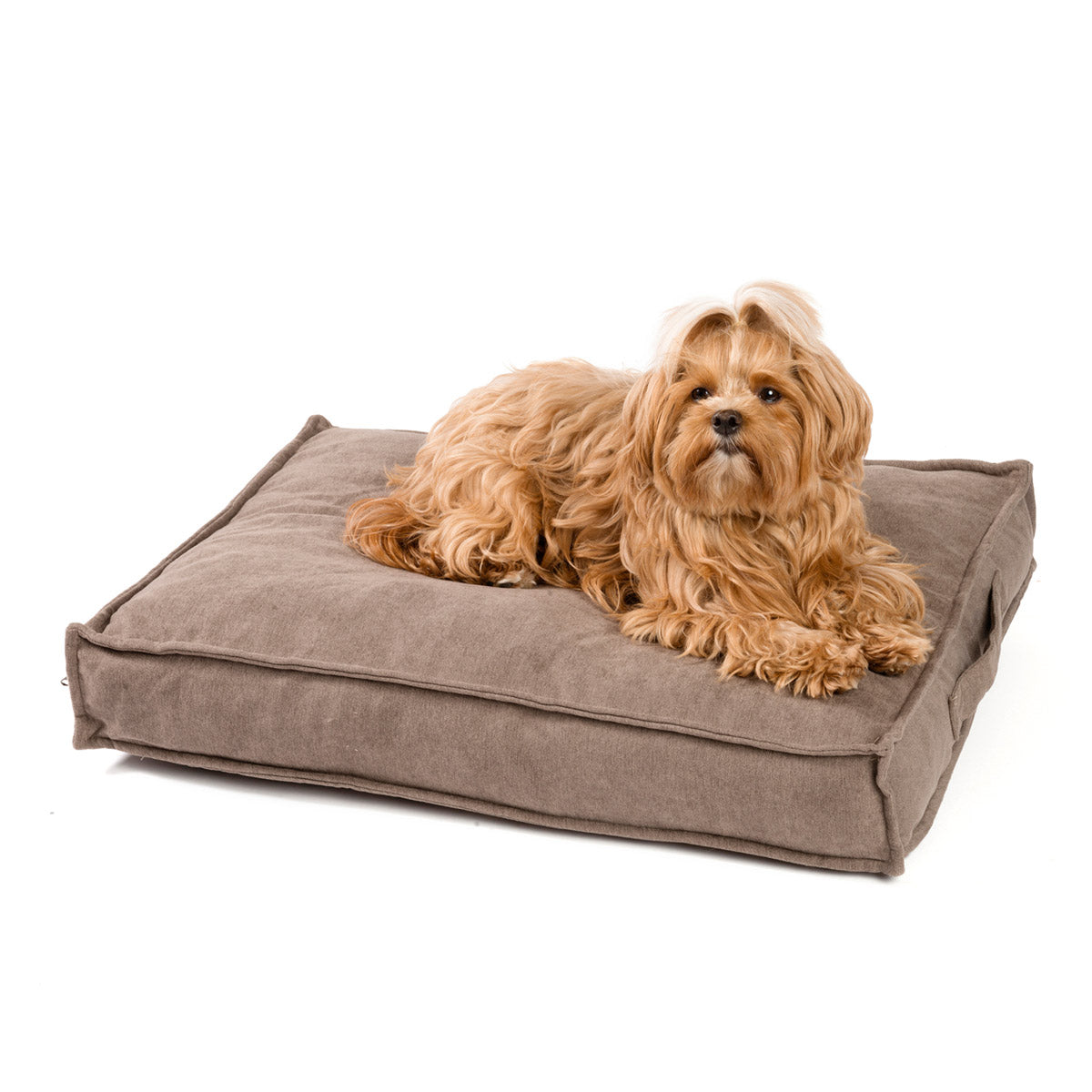 JAMAXX Premium 2-in-1 Hunde-Sofa - Orthopädische Memory Visco Füllung JAMAXX Premium 2-in-1 Hunde-Sofa - Orthopädische Memory Visco Füllung