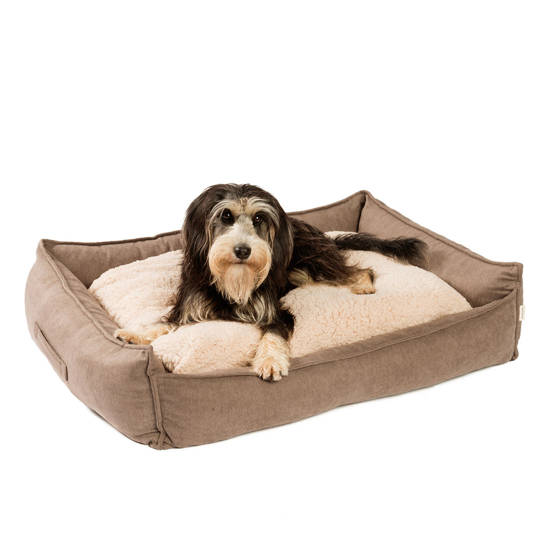 Premium Hundebett mit Kissen, waschbar, purple, braun, grau – jamaxx-pets
